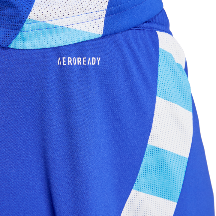 Shorts Uniforme Alternativo Argentina 24