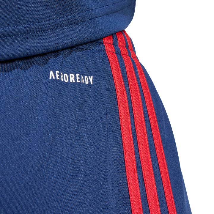 Shorts Squadra 25