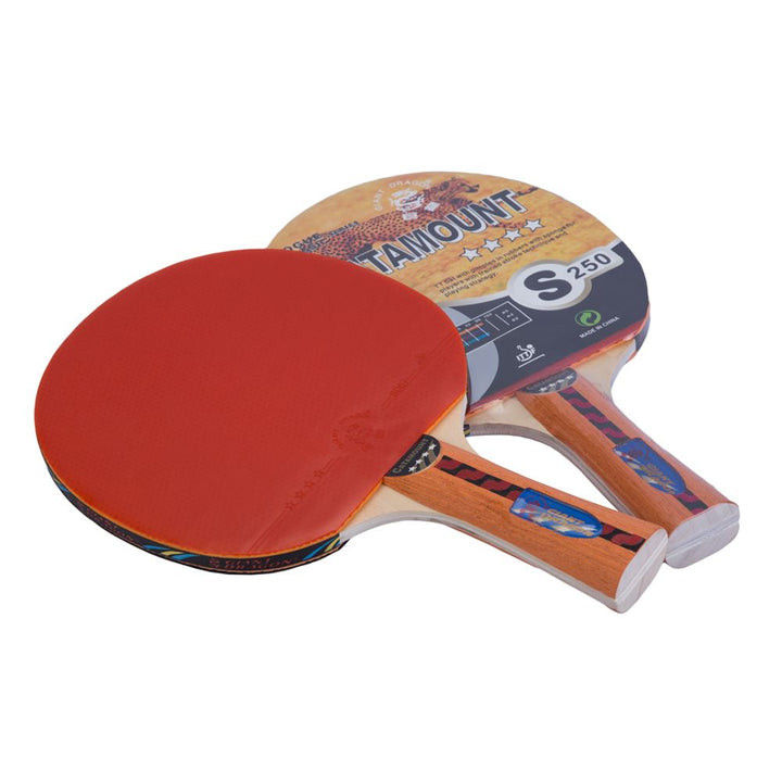 PALETA DE PING PONG 4* GIANT DRAGON CATAMOUNT