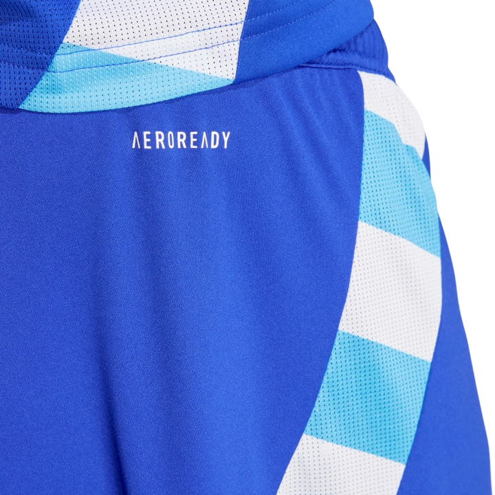 Shorts Uniforme Alternativo Argentina 24