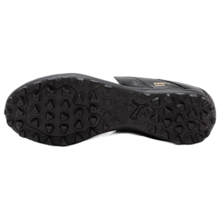 Botines Puma Borussia TT Evo ADP