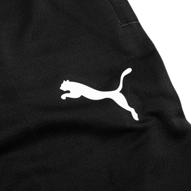Pantalón Puma teamFINAL 26 Training Hombre