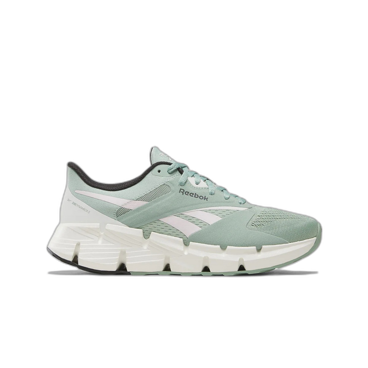 Zapatillas Zig Dynamica 5